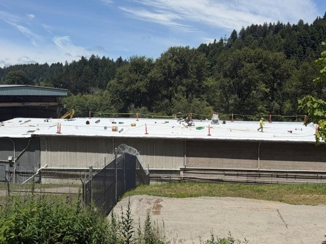 Commercial roofing crew at work — close up
